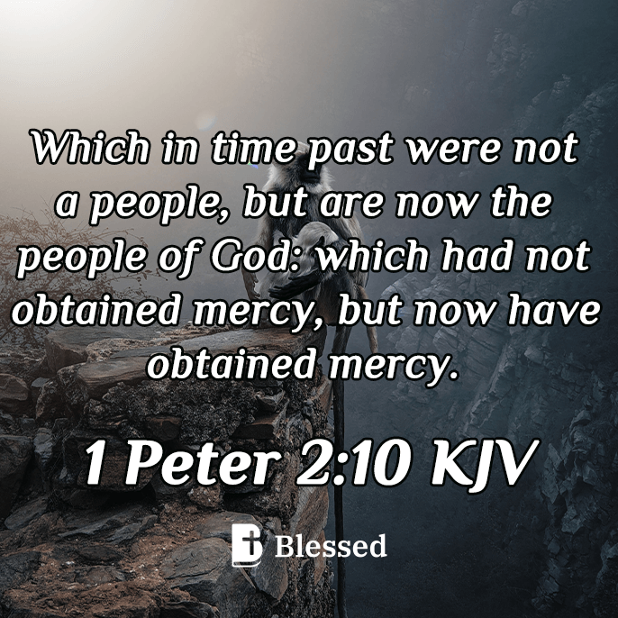 1 Peter 2:10