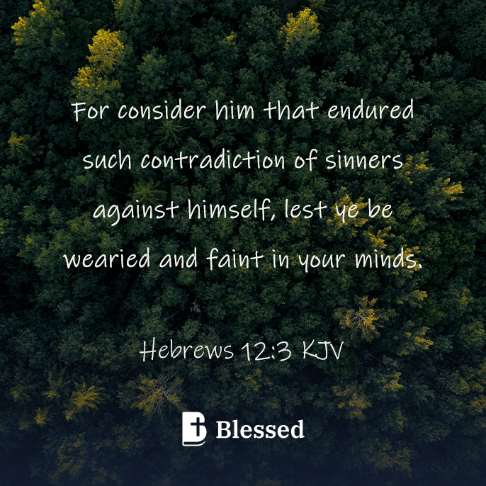 Hebrews 12:3