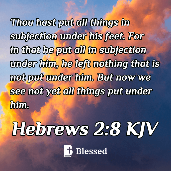 Hebrews 2:8