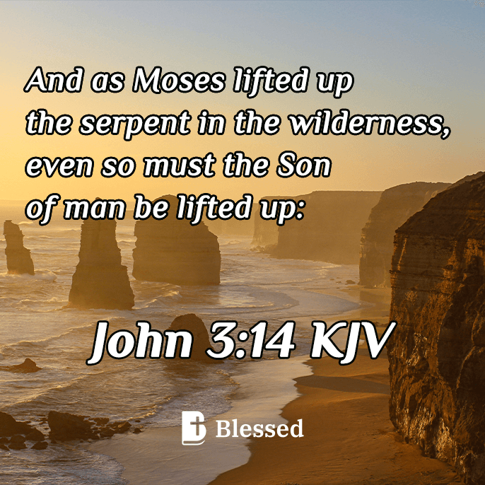 John 3:14