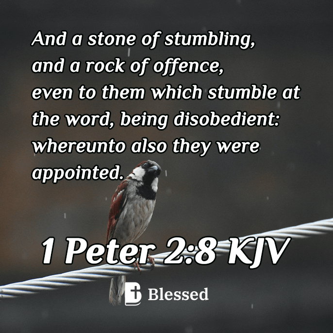 1 Peter 2:8