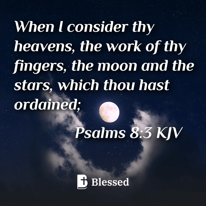 Psalms 8:3