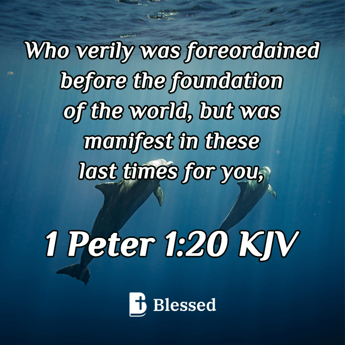 1 Peter 1:20