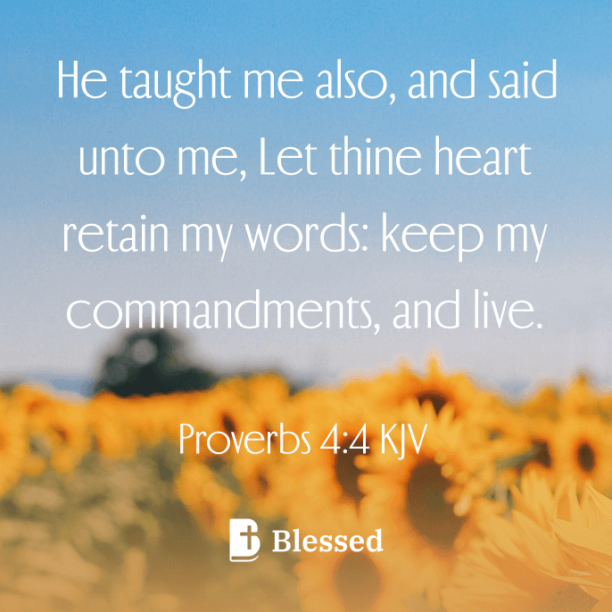 Proverbs 4:4