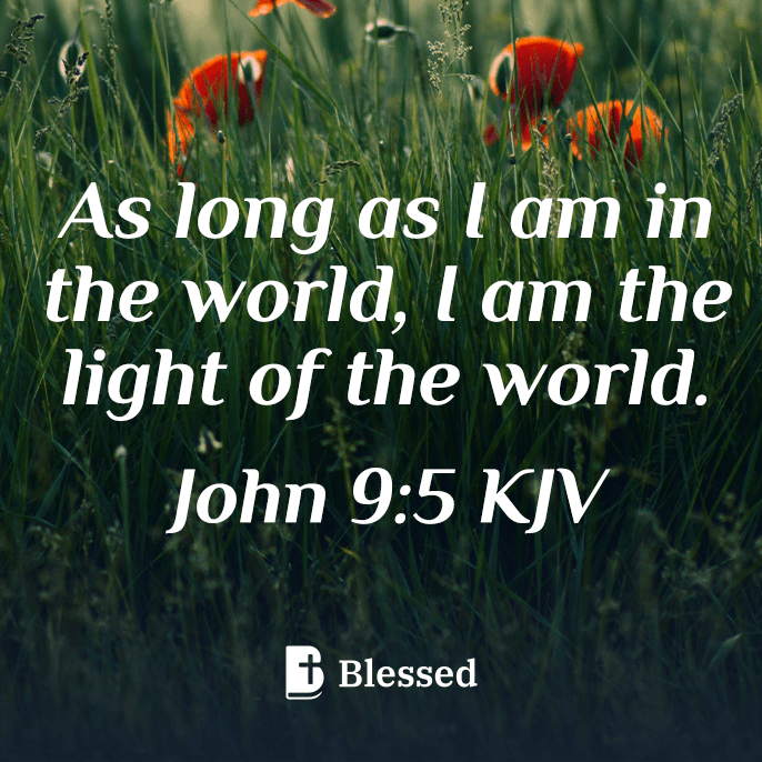 John 9:5