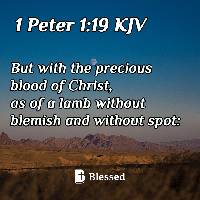 1 Peter 1:19