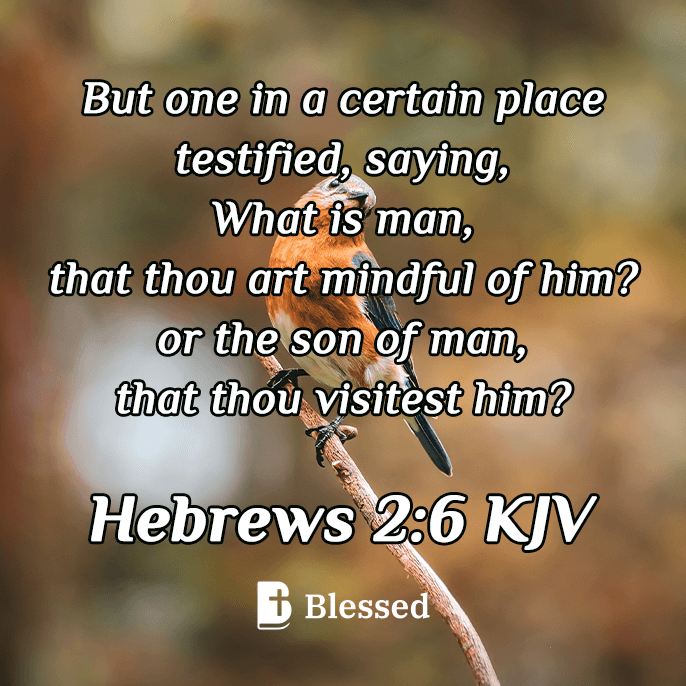 Hebrews 2:6