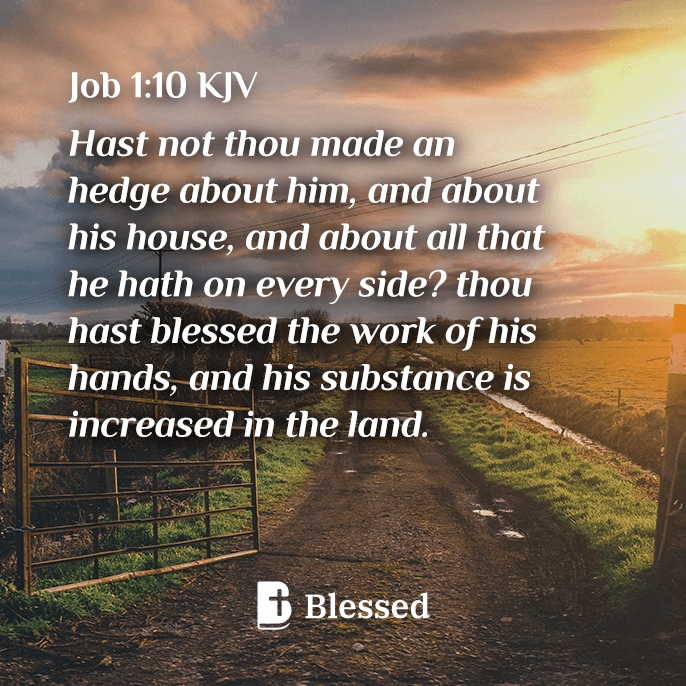 Job 1:10