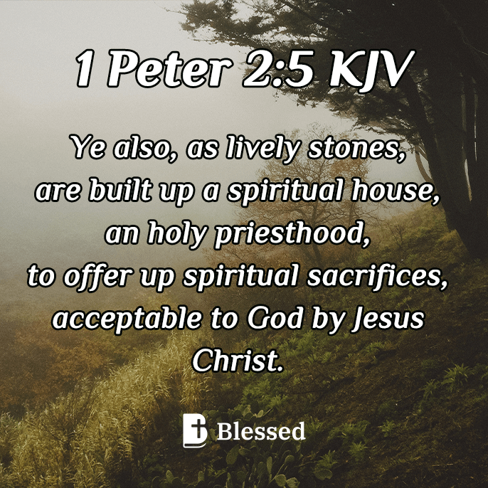 1 Peter 2:5