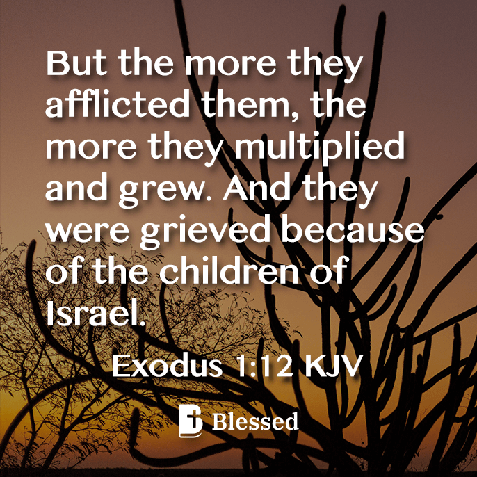 Exodus 1:12