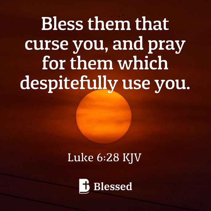 Luke 6:28