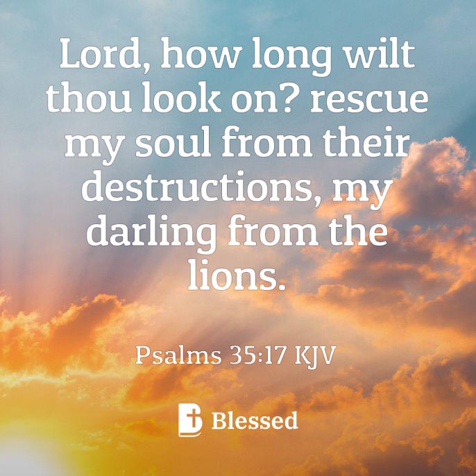 Psalms 35:17